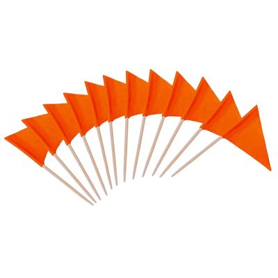 100 Pcs Solid Blank Triangle Toothpick Flag, Mini Blank Toothpick Flag Cupcake Toppers, DIY Decoration Markers (Orange)