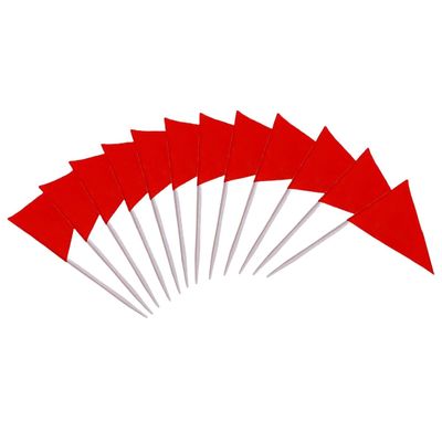 100 Pcs Solid Blank Triangle Toothpick Flag, Mini Blank Toothpick Flag Cupcake Toppers, DIY Decoration Markers (Red)