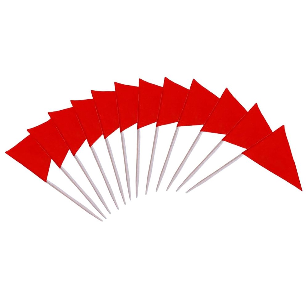100 Pcs Solid Blank Triangle Toothpick Flag, Mini Blank Toothpick Flag Cupcake Toppers, DIY Decoration Markers (Red)