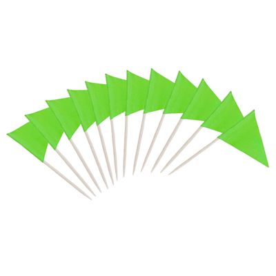 100 Pcs Solid Blank Triangle Toothpick Flag, Mini Blank Toothpick Flag Cupcake Toppers, DIY Decoration Markers (Green)
