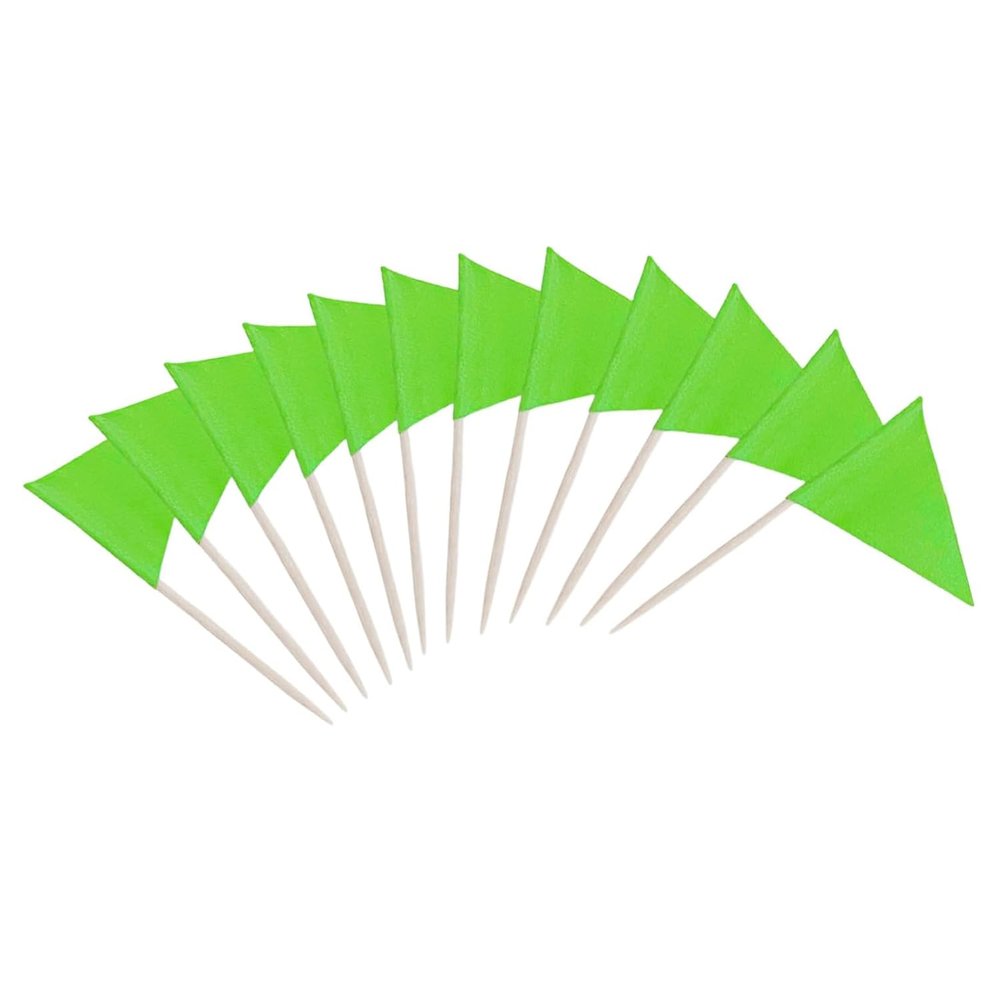 100 Pcs Solid Blank Triangle Toothpick Flag, Mini Blank Toothpick Flag Cupcake Toppers, DIY Decoration Markers (Green)