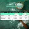 0.5LB Ocean's Taste Baja Sea Salt, Coarse Natural Grain, 4X More Minerals than Celtic Salt, 30% Less Sodium, Mineral Salt Ideal for Electrolytes Balance, Cooking & Baking | Kosher, Organic, Paleo view 3