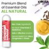 Z!NGHA Natural Aromatherapy Nasal Inhaler Stick for Sinus Relief, Focus & Stress Relief | Portable Dual-Hole Essential Oil Blend (4PK, Spearmint) view 2