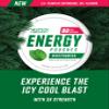 GRINDS Energy Pouches - Natural Caffeine Pouches - Contains B-Vitamins, Sugar-Free, & 0 Calories - 80mg of Caffeine in Each Pouch - Wintergreen - 6 Pack, 18 Pouches Per Can view 3