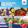 Sea Moss Gel by BioVitalica - Irish sea Moss raw Organic - Premium Quality - Dr Sebi, Vegan superfood for Cells - 100% Natural seamoss Gel - (Pack of 2, Strawberry) view 2
