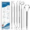 7pcs Dental Tools, Dental Pick Teeth Cleaning Tools Hygiene Kit, Professional Stainless Steel Tooth Scraper Plaque Tartar Cleaner - with Case, Personal Using, Pets - Teeth Cleaning Kit view 1