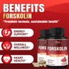 Cadane Forskolin Supplement with Coenzyme Q10 & Grape Seed Extract | Supports Body Management & Energy | Vegan, Non-GMO 90 Capsules 45-Day Supply view 4