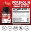 Cadane Forskolin Supplement with Garcinia Cambogia, Gymnema Sylvestre, Cinnamon Bark and More - Vegan, Non-GMO 120 Capsules 60-Day Supply view 2