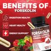 Cadane Forskolin Supplement with Garcinia Cambogia, Gymnema Sylvestre, Cinnamon Bark and More - Vegan, Non-GMO 120 Capsules 60-Day Supply view 4