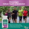 America Medic & Science NMNH Revive Dual NAD+ Precursor Supplement for Longevity, Healthy Aging, Energy, Metabolic Function, Skin & Cellular Health 60 Capsules for Daily Vitality view 2