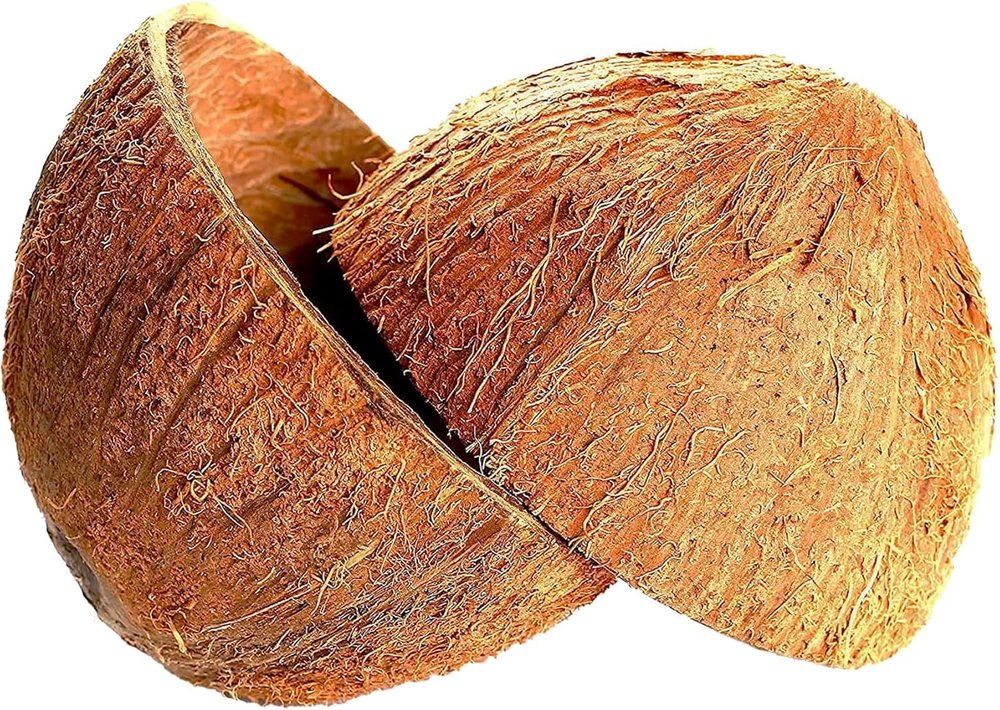 Ceylon Essence Natural Coconut Shell Halves, 2 Pack