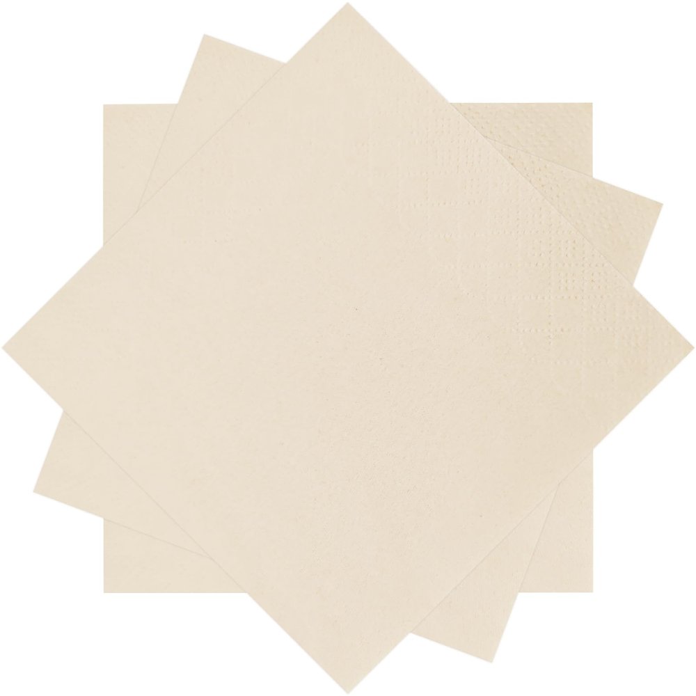 300 Count Milky White Beverage Napkins,2-Ply Milky White Cocktail Napkins,Disposable Party Napkins for Dinner Wedding Birthday Party Graduation