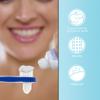 Didiseaon Dual Heads Denture Brush 2-Pack False Teeth Cleaning Toothbrush with Firm Bristles Non-Slip Handle for Effective Denture Care view 3