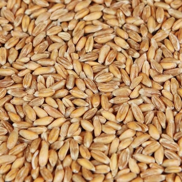 10LB SPELT AROMA MALT Weyermann DINKELMALZ Unmilled Ancient Variety Bavarian Malted Wheat