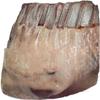 Salutem Vita - Lamb Rib Rack Frenched, 1.5 lbs. (actual weight may vary within 5%) - Pack of 2 view 2