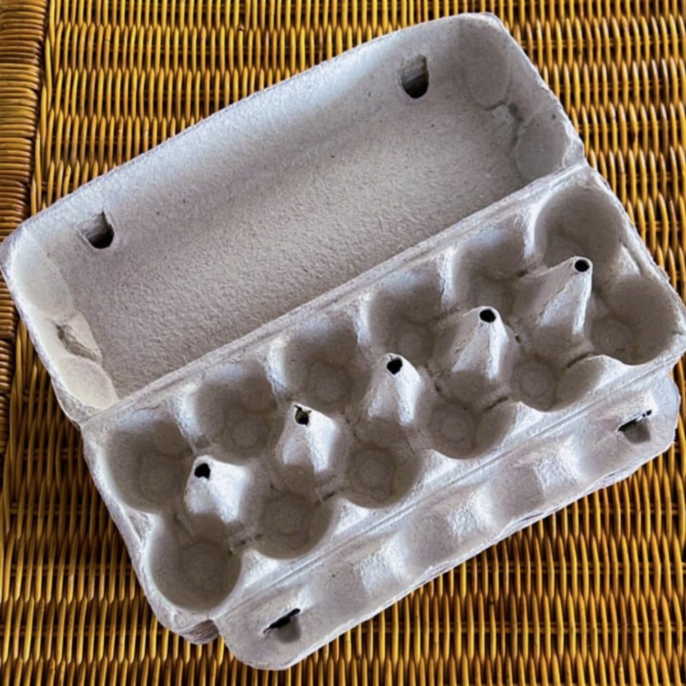 25 empty Carton Large 12 Count each Carton eggs Natural Pulp