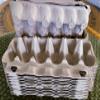 25 empty Carton Large 12 Count each Carton eggs Natural Pulp view 2