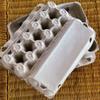 25 empty Carton Large 12 Count each Carton eggs Natural Pulp view 3