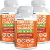 21-in-1 Berberine Supplement with Ceylon Cinnamon Capsules - Dihydroberberine with Chromium, Bitter Melon & Green Tea Extract - Berberine with Ceylon Cinnamon for Energy Support (120 Ct) (Pack of 3) view 1