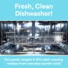 Seventh Generation Dishwasher Cleaning Packs 6 Count Free & Clear Removes odor-causing residue Powered by oxy power view 3