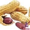Alebrixes - Spanish Peanut 10 Oz - Roasted & Salted Spanish Peanut with Dry Arbol Chili | Cacahuate Espanol con Chile de Arbol | All Natural Delicious Snack view 3