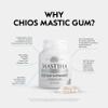 100% Pure Chios Mastiha Mastic Gum Capsules 350mg 90 Count Natural Digestive Support Mastic Gum Supplement Vegan, Allergen-Free view 3