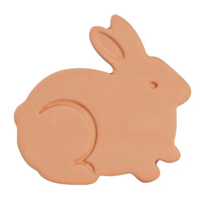 Brown Sugar Softener, Reusable, Softener Alternative for Food Storage Containers, Brown Sugar Saver Disc with Elegant Flowers Rabbit Bee Design