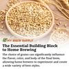 My Brew Supply Flaked Oats Beer Making Grain | Brew Your Own Pilsners, Stouts, and Beers with Oats Grains | Grown in The United States | 10lb (2L) Grain view 3