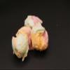 Freeze Dried Sherbet Ice Cream view 1