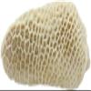 Salutem Vita - Beef Honeycomb Tripe Pancita de Res Panal 3.5 lbs Tender and Flavorful Ideal for Soups and Stews (actual weight may vary within 5%) view 3