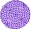 Acupressure Mat for FeetReflexology MatPortable Acupuncture MatStanding Desk Matt for FeetRelaxing Gifts for Women(Purple) view 1