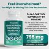 5-in-1 Cortisol Supplement for Women & Men - Ashwagandha Supplements with Magnesium Glycinate, Shilajit & Probiotics - Adrenal Support Supplements for Calmness & Focus - Magnesium Ashwagandha (360 Ct) view 2