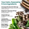 5-in-1 Cortisol Supplement for Women & Men - Ashwagandha Supplements with Magnesium Glycinate, Shilajit & Probiotics - Adrenal Support Supplements for Calmness & Focus - Magnesium Ashwagandha (360 Ct) view 3