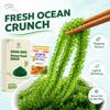 GCAP Sea Grapes Dehydrated Umibudo Seaweed | Vegan Green Caviar Superfood from Vietnam | Immune & Skin Support | 100g x 5 Packs Gluten-Free, Ready to Rehydrate view 3