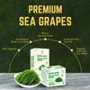 GCAP Sea Grapes Dehydrated Umibudo Seaweed | Vegan Green Caviar Superfood from Vietnam | Immune & Skin Support | 200g (20G x 10 Packs) Gluten-Free, Ready to Rehydrate view 4