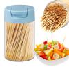 5 Pack Double-Point Bamboo Toothpicks - with Reusable Toothpick Holder, for Party, Appetizer, Olive, Barbecue, Fruit and Teeth Cleaning (Blue) view 1