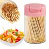 5 Pack Double-Point Bamboo Toothpicks - with Reusable Toothpick Holder, for Party, Appetizer, Olive, Barbecue, Fruit and Teeth Cleaning (Pink) view 1