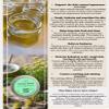 Yarrow Salve Handcrafted by Naturally Inspirational (2oz Tin) view 4