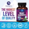 NAC Supplement - 1200mg per Serving N-Acetyl-L-Cysteine Optimal Absorption Immune Support with Powerful Antioxidants - Respiratory & Liver Health Support - Gluten Free, Bottled in USA - 60 Capsules view 4