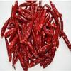 OnMexa Spicy Farm Dry Red Chilli | Sabut Tikhi Lal Mirch | 100g | Bold & Spicy Whole Dried Chillies for Cooking & Seasoning view 1