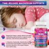 2 Pack Kids Magnesium Gummies, Magnesium Glycinate Gummies for Kids & Adults with L-Theanine, Chamomile, Vitamin D, B6 for Sleep, Relaxation, Brain & Muscle, Sugar Free Raspberry view 4