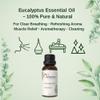 Selfpurity Eucalyptus Essential Oil 1 Oz (30ml) 100% Pure Natural Eucalyptus Oil for Aromatherapy Diffuser, Skin & Hair Care, Massage, Soap & Candle Making Premium Grade view 3