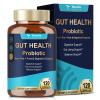 14-in-1 Gut Health with Probiotics, Prebiotics, Postbiotics & Digestive Enzymes for Women & Men, 60 Billion CFU Probiotics for Digestion, Strong Immunity, Skin, Complete Gut Health (120 Capsules) view 1