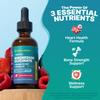Magnesium Glycinate, Vitamin K2 & D3 Supplement GMO-Free VIT D MK7 K2 Vitamin Supplement & Magnesium Blend with Nutrients for Bone Nutrition & Cardiovascular Function (Mixed Berry, 60 mL) view 2