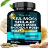 Adndale SeaMoss Shilajit Combo - Sea Moss and Shilajit Bundle with Lion's Mane, CoQ10, Rhodiola Rosea Capsules - 90 Count view 1