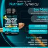 Adndale SeaMoss Shilajit Combo - Sea Moss and Shilajit Bundle with Lion's Mane, CoQ10, Rhodiola Rosea Capsules - 90 Count view 2