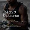 Gainful High Intensity Pre Workout Powder with 200mg Caffeine, 5g Creatine, Watermelon Flavor, Supports Energy, Strength, Endurance, & Recovery with BCAAs, Beta Alanine, L-Citrulline, 20 Servings view 3