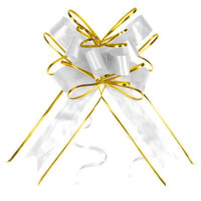10 PCS 6-Inch Large Pull Bows for Gift Wrapping White Gift Bows Bulk with Instant Pull Design for Presents, Flower, Weddings, Christmas, Birthdays, Baby Showers & Car Decor