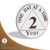 2 Year Sobriety Coin, Today I Choose Sober Chip, Affirmation AA Coins, Addiction Recovery Sober Coin, Celebrating Recovery Anniversary Token, AA Sobriety Gifts for Men Women view 2
