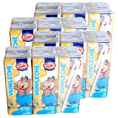 Salud Vanilla Milk Boxes Made with Real Vanilla & Whole Milk - 4g Protein, Calcium & Vitamin A, Leche con Vainilla - Perfect for Lunchboxes - 6.75 oz each, (24 Pack)